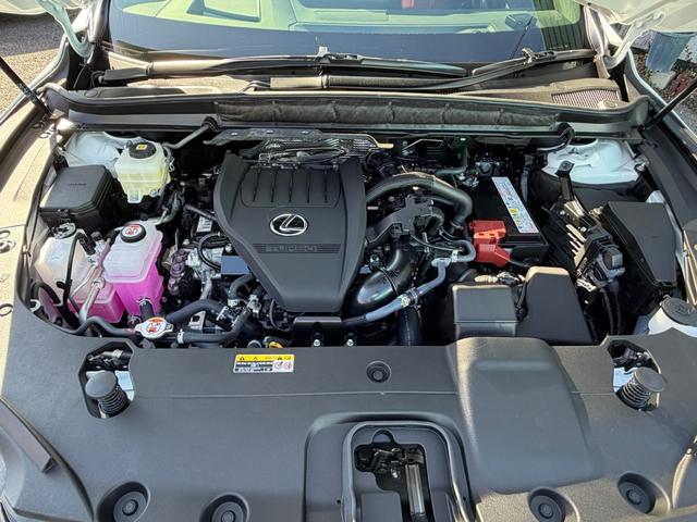 ＲＸ ＲＸ３５０　Ｆスポーツ　改モデル　パノラマルーフ　デジタルインナーミラー　オレンジキャリパー内装レッド　１４型コネクトナビ（27枚目）