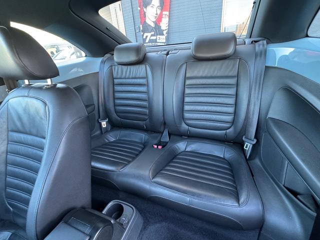 ザ・ビートル デザインレザーパッケージ（19枚目）