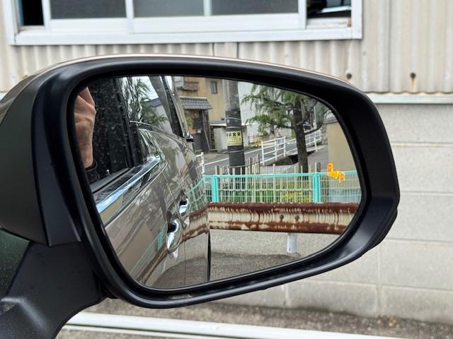 アルファード Z(9枚目)