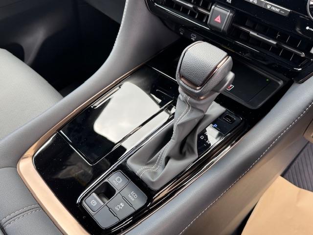 アルファード Z(19枚目)