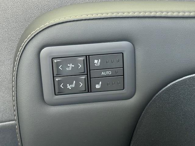 アルファード Z(31枚目)