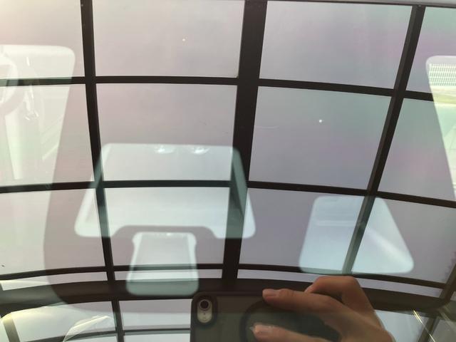 デイズルークス ハイウェイスター　Ｘターボ　純正ナビ　アラウンドビューモニター　衝突軽減システム　オートハイビーム　片側パワスラ　リアサーキュレーター　リアパーソナブルテーブル　後席サンシェード　フルセグ　ＬＥＤライト　オートライト　ＥＴＣ（64枚目）