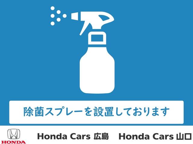 G・Lパッケージ ホンダ純正ナビゲーション バックカメラ ETC 電動スライドドア スマートキー(29枚目)