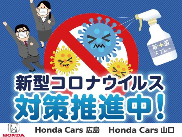 G・Lホンダセンシング 純正ナビ・ETC・バックカメラ(40枚目)