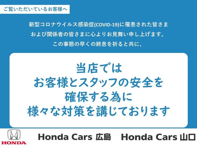 G・Lホンダセンシング 純正ナビ・ETC・バックカメラ(42枚目)