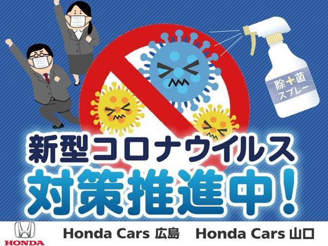 スタンダード・ローダウンL 1オーナー車 衝突軽減ブレーキ ホンダ純正ナビゲーション バックカメラ HIDヘッドライト ETC 純正ローダウン スマートキー(39枚目)