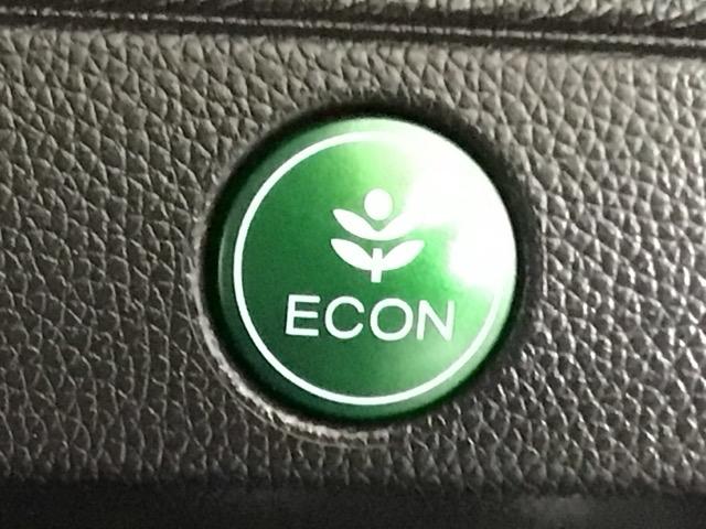 フィットハイブリッド Ｌパッケージ　ＬＥＤ・フルセグ・メモリナビ・ＤＶＤ・バックカメラ・ＥＣＯＮスイッチ・ＥＴＣ　ナビ＆ＴＶ　地デジフルセグＴＶ　サイドエアバック　ＤＶＤ再生　オートクルーズコントロール　イモビライザー　ＥＳＣ　ＡＢＳ（10枚目）