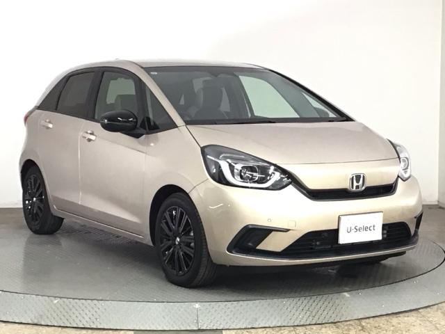 フィット ホーム２０周年特別仕様車メゾン　ＬＥＤ・ホンダＣＯＮＮＥＣＴ・メモリナビ・バックカメラ・シートヒーター・ＥＴＣ　Ｒカメ　セキュリティーアラーム　スマートキーシステム　ＬＥＤヘッドランプ　フルセグ　衝突被害軽減システム　ＵＳＢ接続（46枚目）