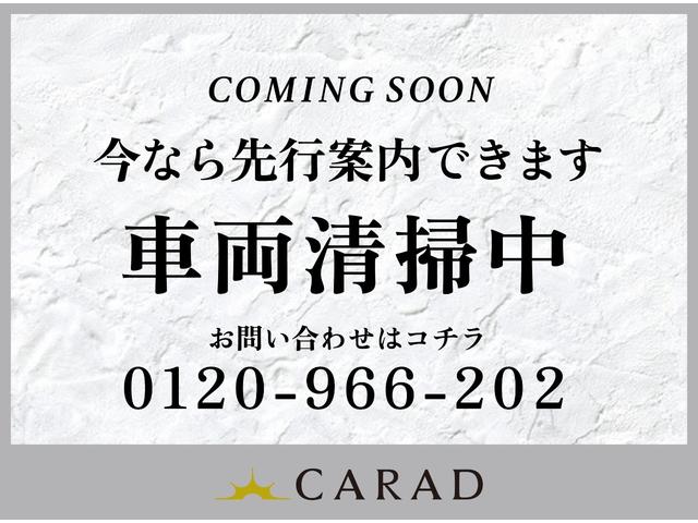 ザ・ビートル Rラインマイスター(4枚目)