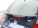 VOLKSWAGEN THE BEETLE