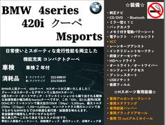 �����꡼�� �������饯���ڡ��ͥ��ݡ��ġ����륫�󥿡��饷���ȡ������ʥӡ��Хå������ 1002529A30251226W002 4