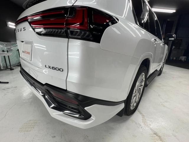 ＬＸ ＬＸ６００　エグゼクティブ（29枚目）