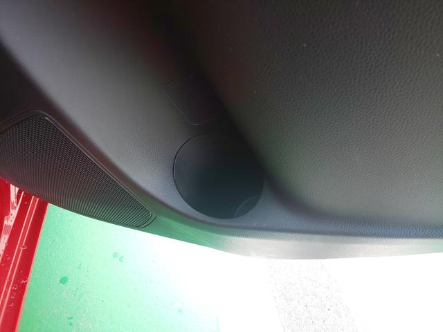 XGリミテッド 特別仕様車(37枚目)
