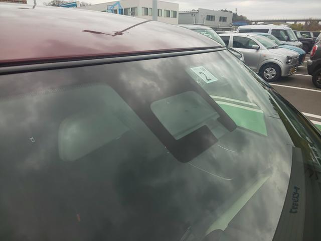 XRリミテッド 特別仕様車(33枚目)
