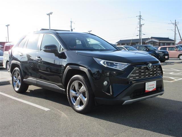 ＲＡＶ４ ハイブリッドＧ　サンルーフ　４ＷＤ　フルセグ　メモリーナビ　ＤＶＤ再生　バックカメラ　衝突被害軽減システム　ＥＴＣ　ＬＥＤヘッドランプ　ワンオーナー　記録簿（18枚目）