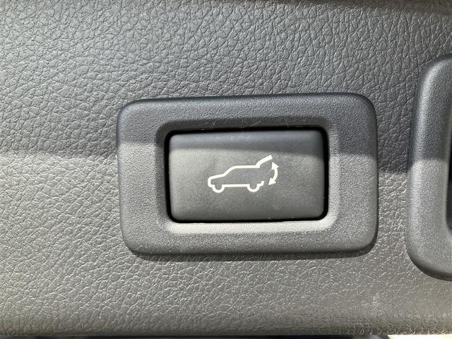 フォレスター ２．０ｉ－Ｓ　アイサイト　革シート　４ＷＤ　ワンセグ　メモリーナビ　ＤＶＤ再生　バックカメラ　衝突被害軽減システム　ＥＴＣ　ＨＩＤヘッドライト　ワンオーナー（10枚目）