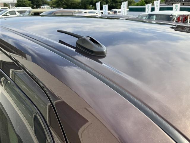 �V��܂��ł��B