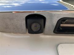 �Υ� �ϥ��֥�åɣǡ��ե륻�������꡼�ʥӡ��ģ֣ĺ������Хå������ 1002825A20251226T002 7