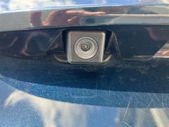 �Хå�������դ��Ƥ��ޤ��� 7