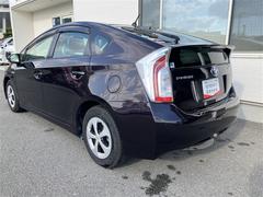 �ץꥦ�� �ӡ���󥻥������꡼�ʥӡ��ģ֣ĺ������Хå������ 1002825A20251229T001 4