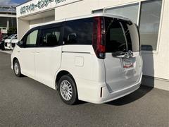 �Υ� �ϥ��֥�åɣǡ��ե륻�������꡼�ʥӡ��ģ֣ĺ������Хå������ 1002825A20260128T001 4