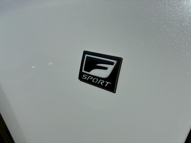 ＧＳ ＧＳ２５０　Ｆスポーツ　／後期／サンルーフ／禁煙車／黒革電動シート／純正ナビ／バックカメラ／レーダークルーズコントロール／ＬＥＤヘッドライト／ＥＴＣ／電動トランク／ステアリングヒーター／シートヒーター／シートクーラー／（52枚目）