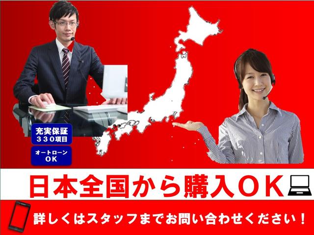 １３Ｓ　ユーザー下取り車　社外ポータブルナビ　純正ＣＤオーディオ　電動格納ミラー　運転席・助手席エアバッグ(48枚目)