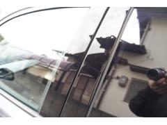 �����꡼�� �������顡�ͥ��ݡ��ġ��������졼�ɡ��ѡ����󥰥��ݡ��ȡ��ɥ饤�ӥ󥰥������ȣУˣ� 1003000A30260120W002 6