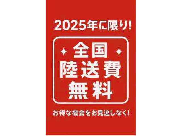 ハイエースワゴン グランドキャビン 新品ベットキット 10人乗り ドライブレコーダー ETC 電動スライドドア キーレスエントリー 電動格納ミラー 後席モニター AT アルミホイール CD 100V電源 盗難防止システム(2枚目)