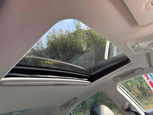 IS IS250 バージョンL ETC クリアランスソナー オートクルーズコントロール バックカメラ ナビ アルミホイール HID サンルーフ AT スマートキー 電動格納ミラー 盗難防止システム パワーシート CD MD USB(11枚目)
