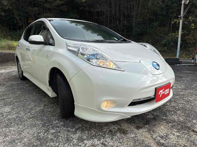 リーフ Ｇ　バックカメラ　ナビ　ＴＶ　オートクルーズコントロール　アルミホイール　スマートキー　電動格納ミラー　シートヒーター　ＣＶＴ　盗難防止システム　衝突安全ボディ　記録簿　ＡＢＳ　ＥＳＣ　ＣＤ（12枚目）