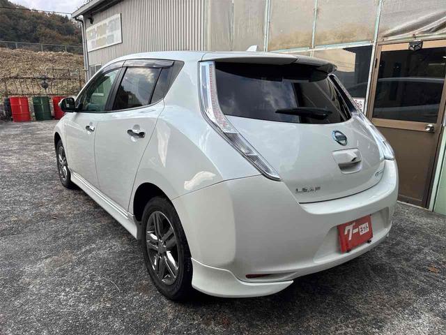 リーフ Ｇ　バックカメラ　ナビ　ＴＶ　オートクルーズコントロール　アルミホイール　スマートキー　電動格納ミラー　シートヒーター　ＣＶＴ　盗難防止システム　衝突安全ボディ　記録簿　ＡＢＳ　ＥＳＣ　ＣＤ（13枚目）