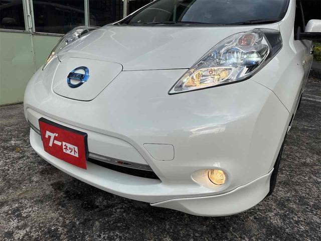 リーフ Ｇ　バックカメラ　ナビ　ＴＶ　オートクルーズコントロール　アルミホイール　スマートキー　電動格納ミラー　シートヒーター　ＣＶＴ　盗難防止システム　衝突安全ボディ　記録簿　ＡＢＳ　ＥＳＣ　ＣＤ（20枚目）