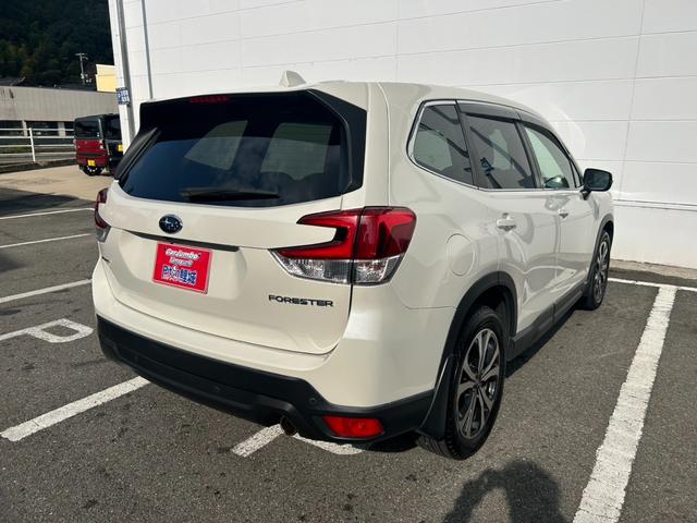 フォレスター プレミアム　純正８インチナビ　アイサイト（衝突軽減ブレーキ）　純正アルミ　ＥＴＣ　ワンオーナー（34枚目）