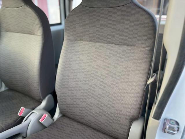 �P�H�s�E��S�E���p�G���A�ŎR���▢�ܑ��H�ɋ����y�g����T���Ă�����ɁB�S�v�c�E�l�s�E�ב��ԗǍD�Ȃǌ���ŗ����Ԃ𑵂��Ă��܂��B