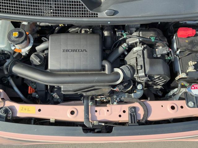 Ｎ－ＢＯＸ Ｌ（17枚目）