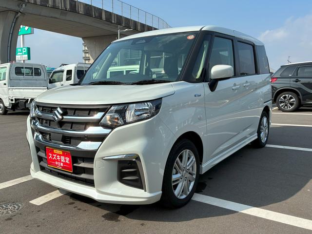 ���T���j���ƁA���E��O�Ηj���͓X�x���ƂȂ�܂��B