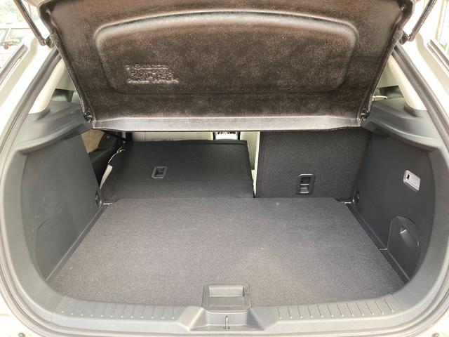 ＣＸ－３ １５Ｓ　アーバン　ドレッサー　全周囲カメラ　本革シート　クリアランスソナー　オートクルーズコントロール　レーンアシスト　衝突被害軽減システム　ＴＶ　ＬＥＤヘッドランプ　アルミホイール　アイドリングストップ　シートヒーター　ＡＴ（69枚目）