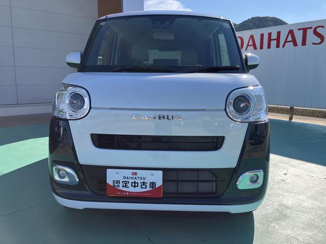 ムーヴキャンバス ストライプスG(56枚目)