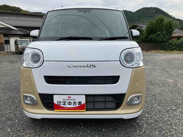 ムーヴキャンバス ストライプスＧ（15枚目）