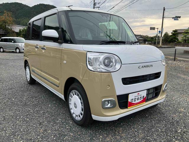 ムーヴキャンバス ストライプスＧ（16枚目）
