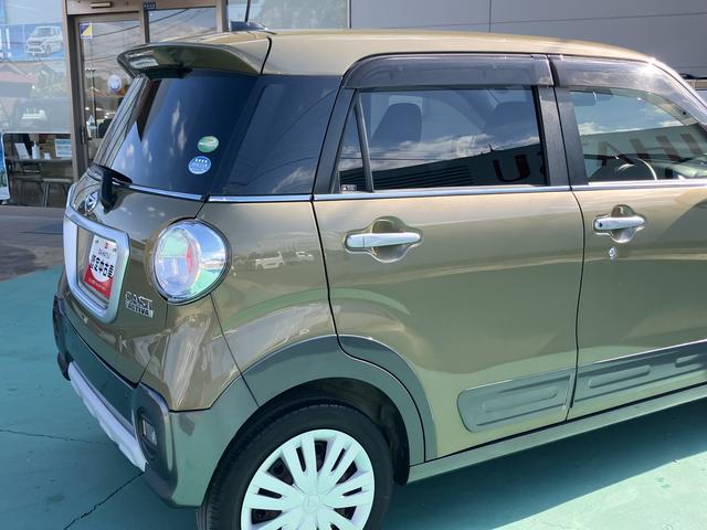 キャスト アクティバX リミテッド SAIII(20枚目)