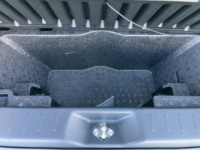 キャスト アクティバX リミテッド SAIII(62枚目)