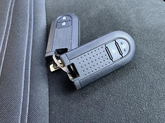 キャスト アクティバX リミテッド SAIII(65枚目)