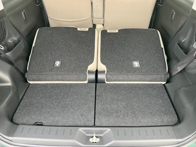 ムーヴキャンバス Ｘ　ＳＡＩＩＩ（60枚目）