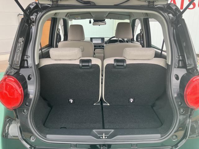 キャスト スタイルG VS SAIII(55枚目)