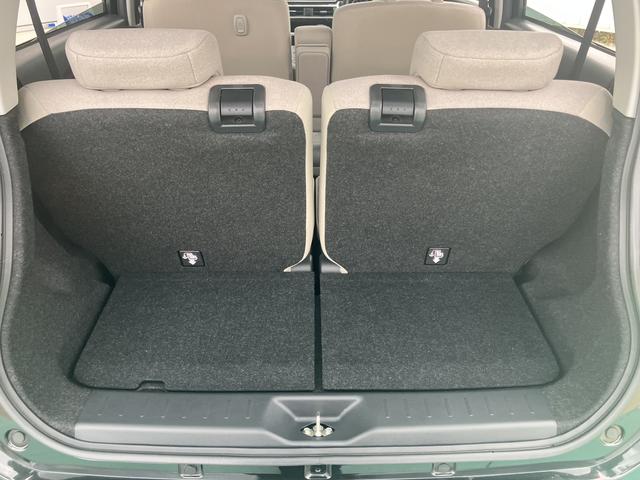 キャスト スタイルG VS SAIII(60枚目)