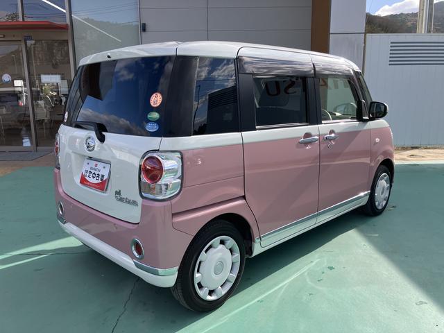 ムーヴキャンバス Gメイクアップリミテッド SAIII(11枚目)