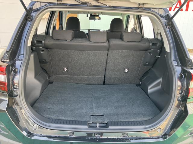 ロッキー Ｘ　ＨＥＶ（59枚目）