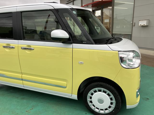 ムーヴキャンバス ストライプスＧ（14枚目）